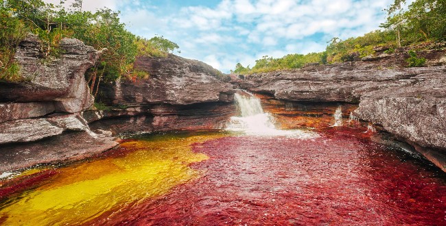 Cano Cristales, Sungai Unik dengan Lima Warna Air